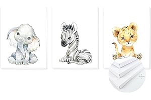 TIME HOME DEVELOPMENT Cuadros con Bastidor de Madera, Lienzo Impreso para decoración en habitación Dormitorio niños - Pack tríptico 3 Cuadros con Bastidor Madera tamaño 30x40 (Animales Liso)