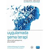 Schema Therapy in Practice: An Introduction to the Schema Mode Approach Guide