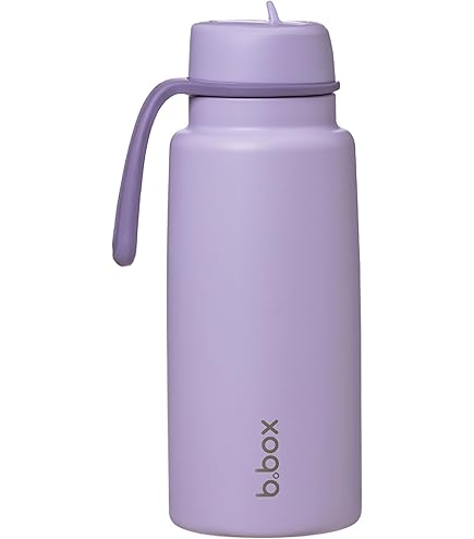 B.box Geïsoleerde Drinkfles 500 Ml – Roestvrij Staal, Houdt
