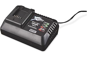 Activ Energy - Caricabatterie universale per attrezzi da giardino FERREX