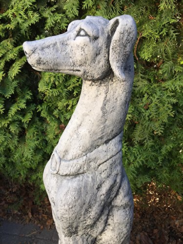 Steinfigur Gartenfigur Dekohund Greyhound Figur Hund Windhund Statue 76,8 Höhe - 4