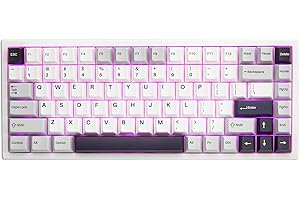 YUNZII YZ84 Pro2 75% Gasket NKRO Hot Swappable 2.4Ghz/Bluetooth 5.0/USB-C Wireless Mechanical Gaming Keyboard, 3100mAh Battery, RGB Backlight for Win/Mac/Gamers(Gateron Black Switch, White)