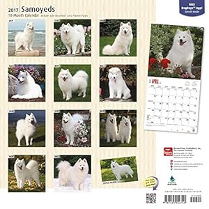 Samoyeds 2017 Calendar