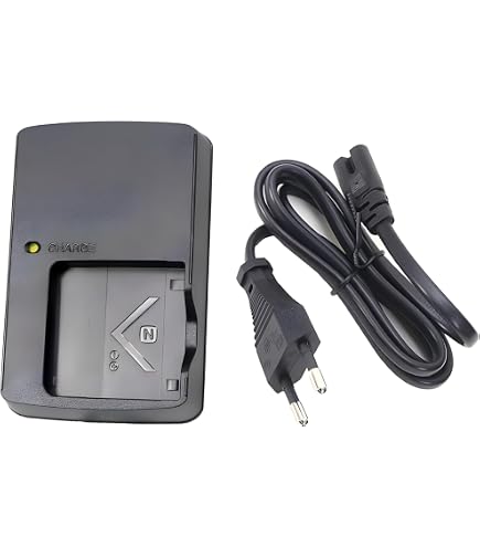 NP-BD1 Digital Cameras Charger for Sony Cybershot DSC-T70, DSC-T77