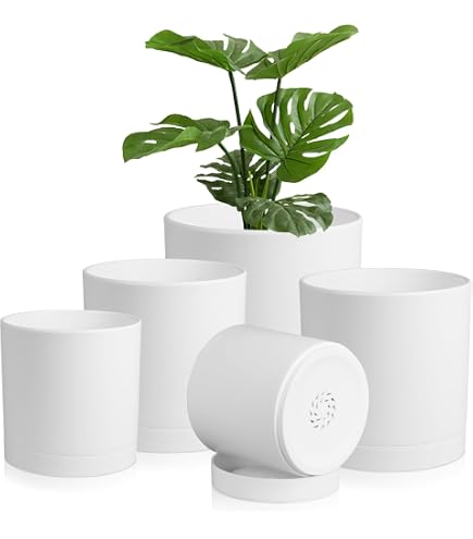 DBKD Grow Pot White  13cm, high 13cm (Barrel 14cm) : Amazon.de: Garten