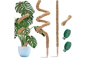 Aileem 2 Stück Moosstab Rankhilfe, 122 cm & 63 cm Biegsame Pflanzenstütze für Innenräume, Kokosstab zum Trainieren von Kletterpflanzen Hochwachsen