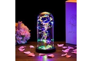 GLASSEAM Beauty and the Beast Rose in Glass Dome Forever Rose Flower Kit Enchanted Galaxy Light Gifts for Women Girls Adults Mums on Valentine Mothers Day Wedding Anniversary Birthday (Purple)
