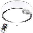 Glighone Motion Sensor Ceiling Light Battery Operated Dimmable Light with Remote for Bedroom livingroom (Cool and Warm White)