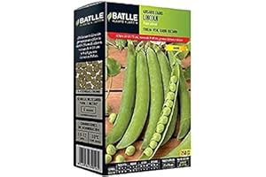 Semillas Batlle – Petit Pois Nain Lincoln 250 gramos, Vert