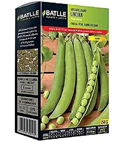 Semi di Fagiolo Rampicante Borlotto Lamon di Sativa Rheinau