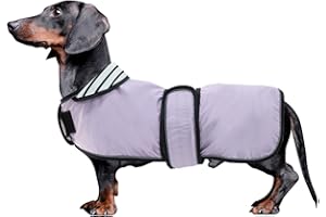 MOREZI Impermeable Elegante para Perros Salchicha - Chaleco Ajustable con Bandas Reflectantes, Resistente al Agua y Lluvia - Ideal para Dachshund y Razas Pequeñas-Morado-S