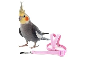 ZEWOOL Hearthrousy Vogel Leine Vogelgeschirr Nymphensittich Vogelgeschirr Wellensittich Vogelgeschirr Aviator Pet Bird Papageiengeschirr Leine Bird Rope Training Supplies 2 M