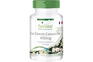 Fairvital | Grande Camomille 400 mg - 120 gélules pour 4 mois - Tanacetum parthenium - Feverfew - 100% végétalien