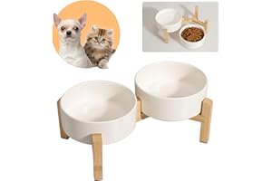 PTOBER Juego de cuencos elevados de cerámica para perros, cuencos elevados con soporte de bambú antideslizante, platos pequeños para mascotas para alimentos y agua, ideal para gatos y cachorros, 16 onzas, 2