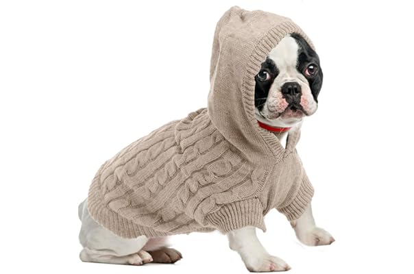 toy dog clothes
