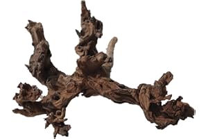 Amtra Legno Mystic Wood - Taglia XL 50-70 cm, Decorazione in Legno Naturale per Acquari, Tronco naturale ornamentale, Accessorio arredo decorativo per Terrari