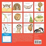 Image de Furry Logic 2016 Wall Calendar: A Guide to Life's Little Challenges