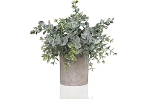 AMISGLASS Mini Piante Artificiali in Vaso, Piccola Pianta Artificiale Eucalipto, Mini Piante Finte per la Decorazione della Tavola, Casa, Balcone, Ufficio, Decorazione, Casa, Bagno, Soggiorno, Davanzale