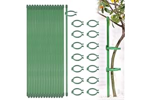 NAROSEBE Pflanzenstütze Blumenstütze Garten Pflanzenstab 20 Stück Pflanzenstützstab 40 Pflanzenhalter Clips Rankhilfe Pflanzen Stütze Blumenhalter Ring für Blumen, Tomaten, Lilien, Pfingstrosen, Rosen