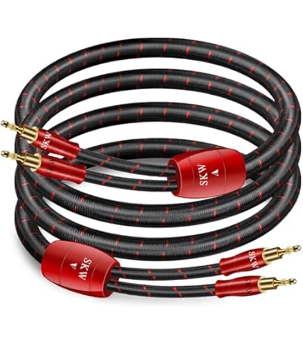 XANGSANE SP-8525 Câble Haut-Parleur Cuivre OFC Plaqué Argent 2x2.5mm²