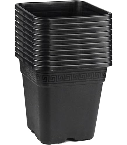 1 Pflanzkübel Viereckig 23,5x23,5x28 Cm – 11 Liter, Aus Recyceltem PP, UV- & Frostbeständig