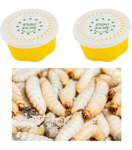 Lancia Boiles PVC Carp Spirit 30mm - Per Pesca Alla Carpa | Diametro 26-32mm - Foto 8