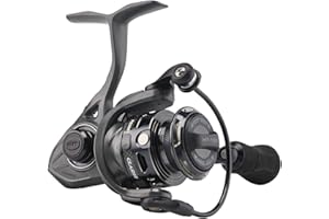 Penn 2020 Clash II, Ambidextre, Moulinet de Pêche au Lancer en Eau Salée, Moulinet au Lancer, Frein Avant