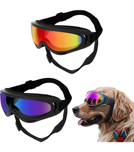 scott shield ski goggles – Freeride World Tour COMMERCIAL_PRODUCT_NATURE: Cycling shorts Size:Large | Mullet KLICKfix | Display Mount Lens Tints