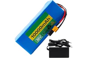 GeMeci 36V10AH Batterie al Litio Pacco Batterie agli Ioni di Litio 10S2P Batteria di Ricambio Alta Potenza della Batteria per 200W 500W 800W Motor [Classe di Efficienza Energetica A] 36V10AH,XT60