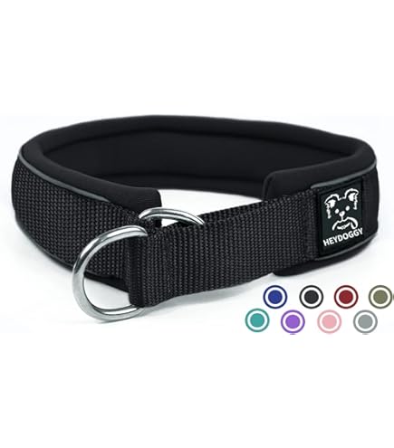 Anny-X annyx Zugstopphalsband Halsband Hund Fun braun/Bernstein (6) :  Amazon.de: Haustier