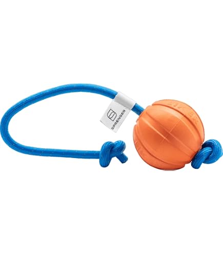 Sprenger Hundespielzeug Gummiball Mit Seil - 50mm Zerrspielzeug