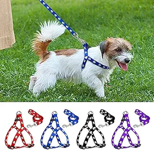 Toms Pet Mall Nylon Adjustable Leash with Harness Set Printed Nylon Puppy Harness for Small & Medium Dogs Colour May Vary (0.75-inch)