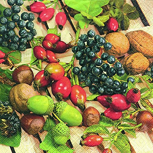 Preisvergleich Produktbild Motivserviette Herbst Beeren / Nüsse
