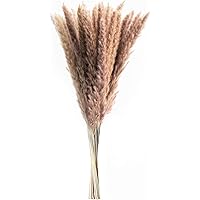 30 Stück Pampasgras Getrocknet Deko, Pampasgras Deko, Getrocknete Blumen 60cm, für Inneneinrichtungen Fotografie…