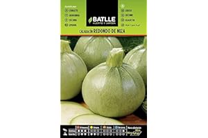 SEMILLAS BATLLE Semi Batlle – Sunny Pumpkins