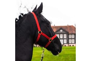 PFERDELINIS Cavezza per cavallo, sangue caldo, purosangue, sangue freddo – cavezza per stalla, cavezza per pascolo, 2 regolazioni su sottogola e nuca – sicura e antistrappo (azzurro cielo, pony)