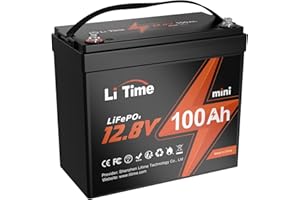 Litime Batterie Lithium 12V 100Ah MINI, Batterie LiFePO4 en Petite Taille avec 100A Protection BMS et 4000-15000 Cycles Profonds, sans Entretien Parfait pour Camping-Car, Système Solaire, Bateaux