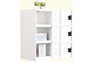 MECOLOR Vertical Single Tier Small Locker with Padlock latche 2 or 3 Compartment Storage for Employee,Home,Office,School,Kids (FWH, P3V)