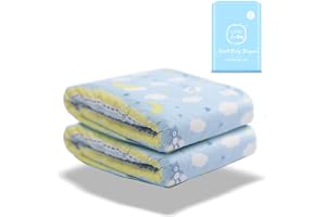 LittleForBig Tryckta vuxen Slip blöjor vuxen baby blöjälskare ABDL 2 stycken- små drömmare M
