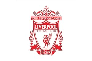 WYFCL Wall Sticker Art Wall Decal 3D Liverpool Self Adhesive Football Club 58X85Cm