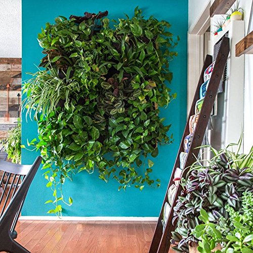 Gosear Wand Montiert Hängende Vertikal Bepflanzung Taschen Grün Wachsen Pflanzer mit 36 Taschen für Haus Wand Balkon Garten Versorgung Schwarz - 7
