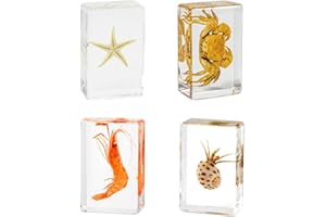 SUPKEYER 4Pcs Insect in Resin Specimen, Bug Preserved Specimen Collection Paperweights Resin Insects Various Insect Specimen for Office School Biology Science Teacher Education (Sea Animal)