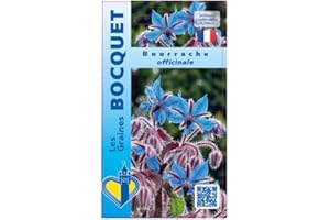 Sachet de graines de Bourrache Officinale - 2 g - LES GRAINES BOCQUET