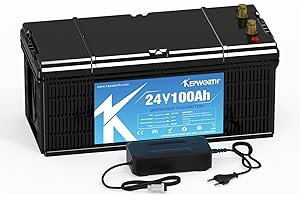 FLLYROWER Batería LiFePO4 de 24 V 100AH, bicicleta profunda BMS ideal más de 8000 veces, adecuada para vehículos recreativos solares, remolques, fuente de alimentación de