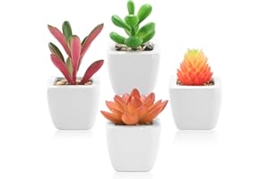 DuHouse Mini piante grasse finte, piccole piante grasse artificiali, in vaso di ceramica, per stanza, cucina, ufficio, scrivania, mensola, set di 4 (vasi in ceramica verde e rosso, bianco)