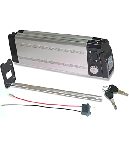Batterie Vélo électrique BMZ – Pour Flyer C8HS, Lion – 25V 24Ah – Neuf