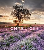 Lichtblicke 2019, Wandkalender im Hochformat (48x54 cm) - Inspirationskalender / Landschaftskalender mit Monatskalendarium by 