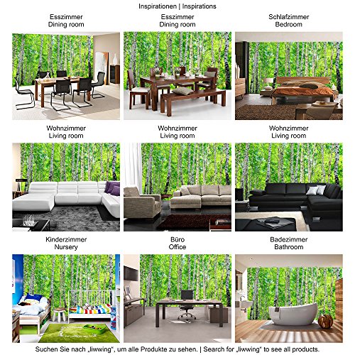 Fototapete Wald – ALLE WALDMOTIVE auf einen Blick ! Vlies PREMIUM PLUS – 200×140 cm – BIRCH FOREST – Birkenwald Bäume Wald Sonne Birkenhain Birke Birken Gras Natur Baum – no. 007 - 5