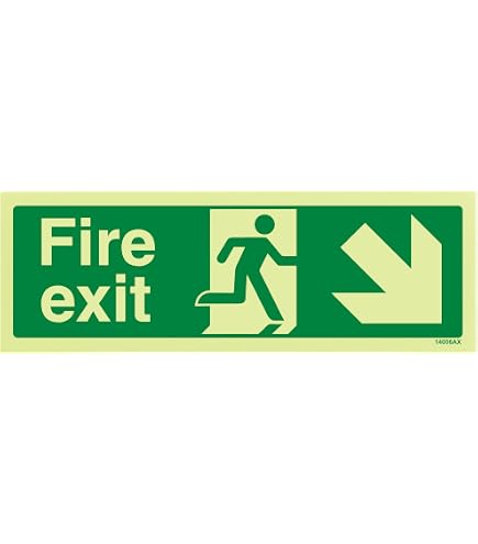 VSafety Sicherheitsschild „Fire Assembly Point“ – 400x300 Mm, Kunststoff, EN ISO 7010 Konform