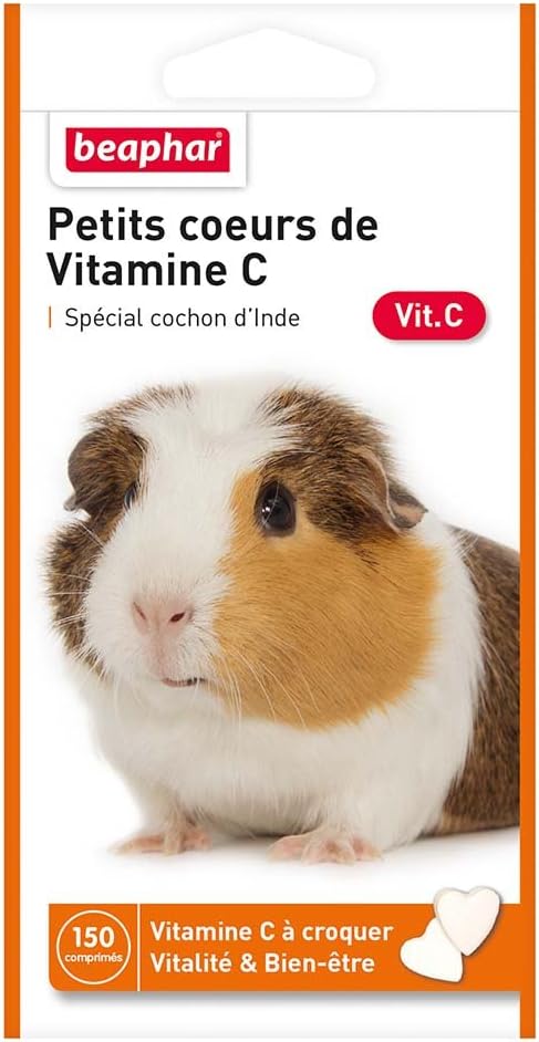 Vue 9